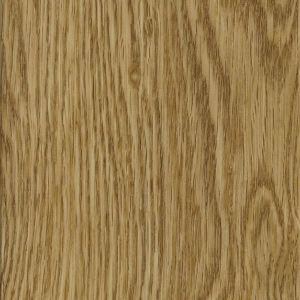 Close-up of textured light oak wood grain