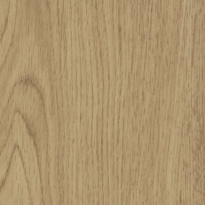 Detailed texture of natural oak wood